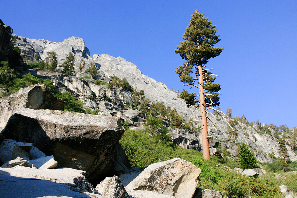 07-01 - 04.JPG - Sequoia National Park, CA